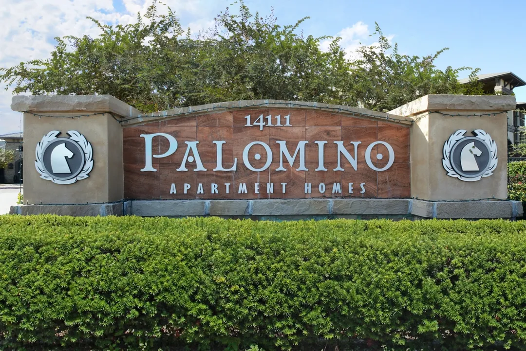 Palomino - 36