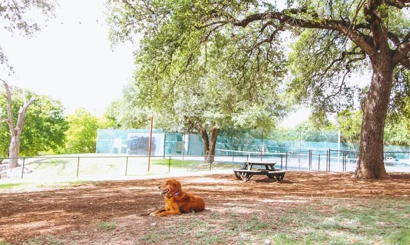 Skyline at Barton Creek - Photo 21 of 35