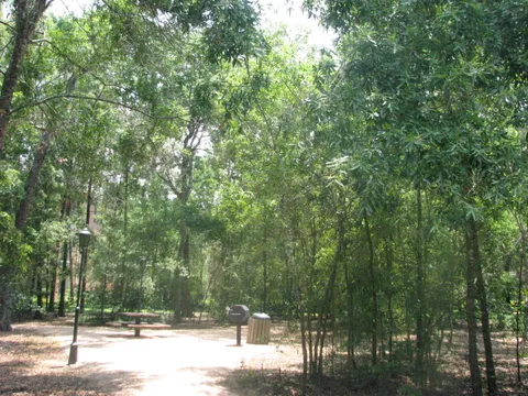 Park at Armand Bayou - 24