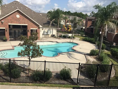 Atascocita Pines - Photo 4 of 16