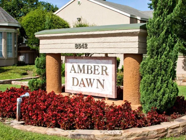 Amber Dawn - Photo 14 of 23