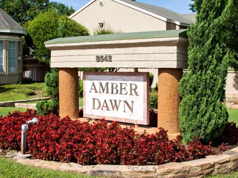 Amber Dawn - 13
