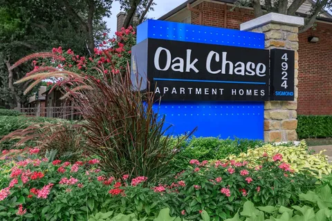 Oak Chase - 10