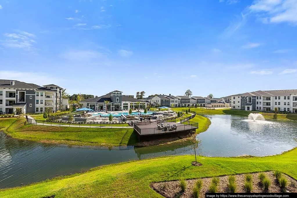 Canopy at Springwoods Village - Photo 24 of 57