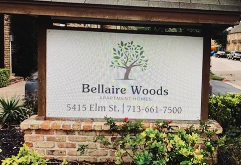 Bellaire Woods - Photo 7 of 23