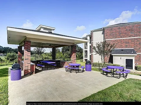 University Village at Prairie View - Photo 2 of 5