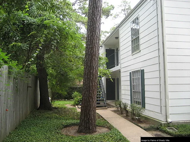 Palms of Shady Villa - Photo 5 of 22