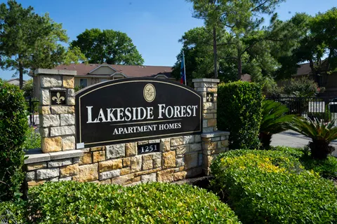 Lakeside Forest - 21