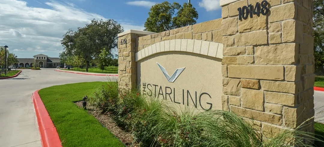 Starling - 2