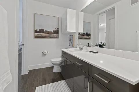 Luxe at Mercer Crossing - Photo 61 of 63