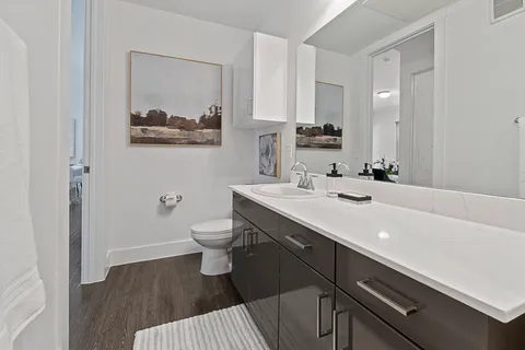 Luxe at Mercer Crossing - Photo 19 of 43
