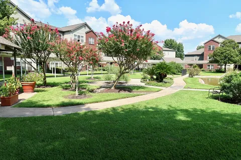 Lone Star Living - Photo 13 of 18