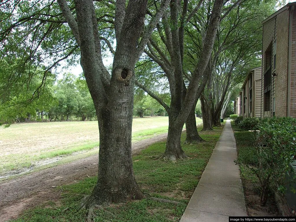 Bayou Bend - Photo 1 of 16