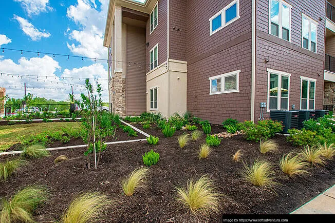 Lofts at Ventura - Photo 17 of 50