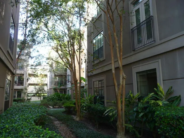Post Oak at Woodway - Photo 25 of 55