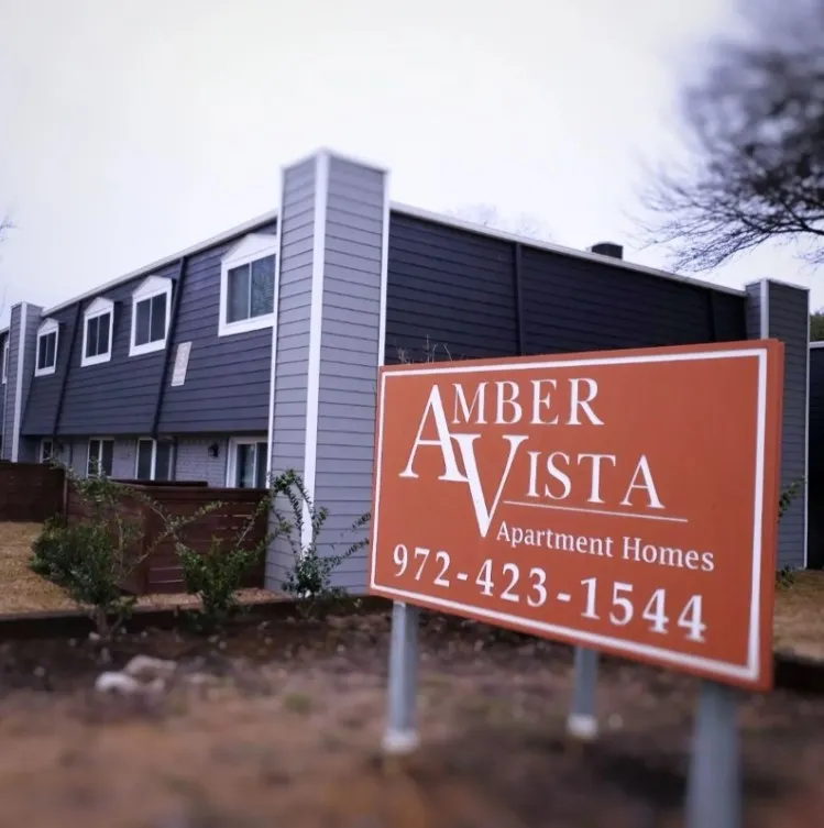 Amber Vista - Photo 19 of 27