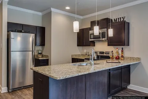 Belcara Luxury Townhomes - Photo 13 of 14