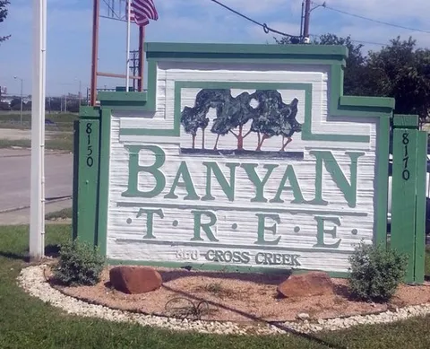 Banyan Tree - 0