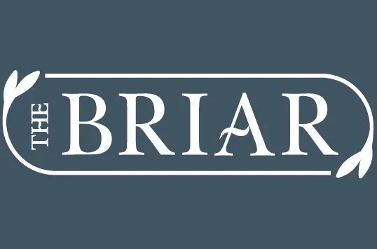 Briar - 11