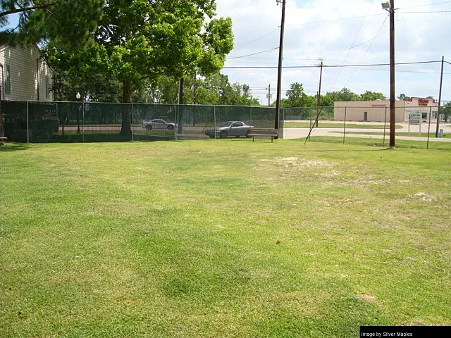 Silver Maples - Photo 13 of 29