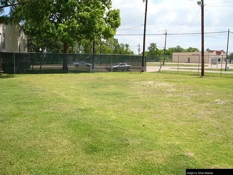 Silver Maples - Photo 13 of 29