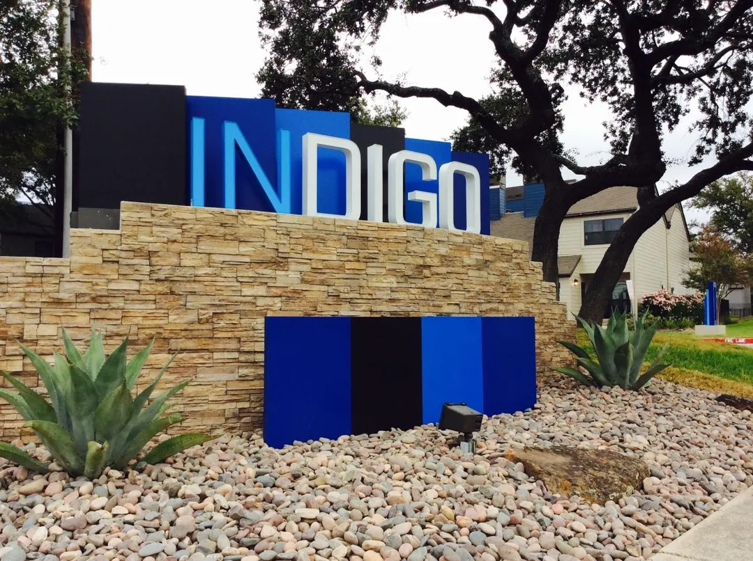 Indigo - Photo 62 of 74