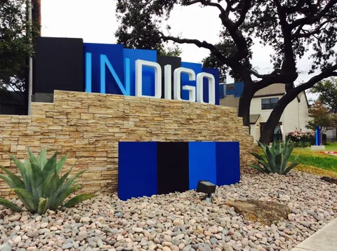 Indigo - 18