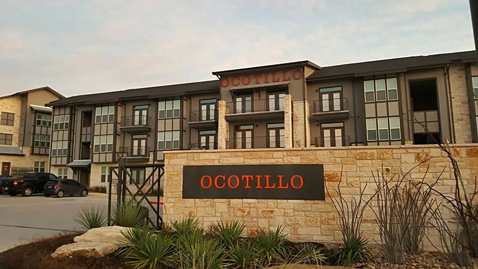 Ocotillo - Photo 13 of 34