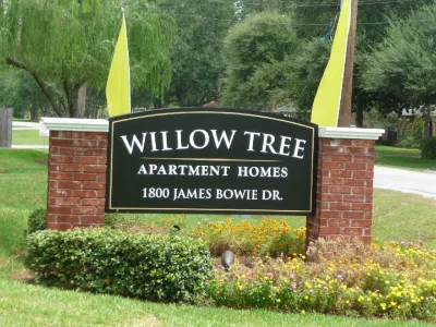 Willow Tree - 14