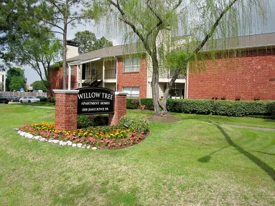 Willow Tree - Photo 14 of 35