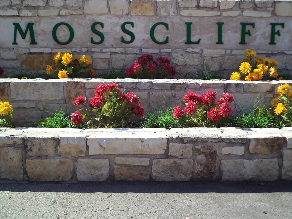 Mosscliff - Photo 11 of 20