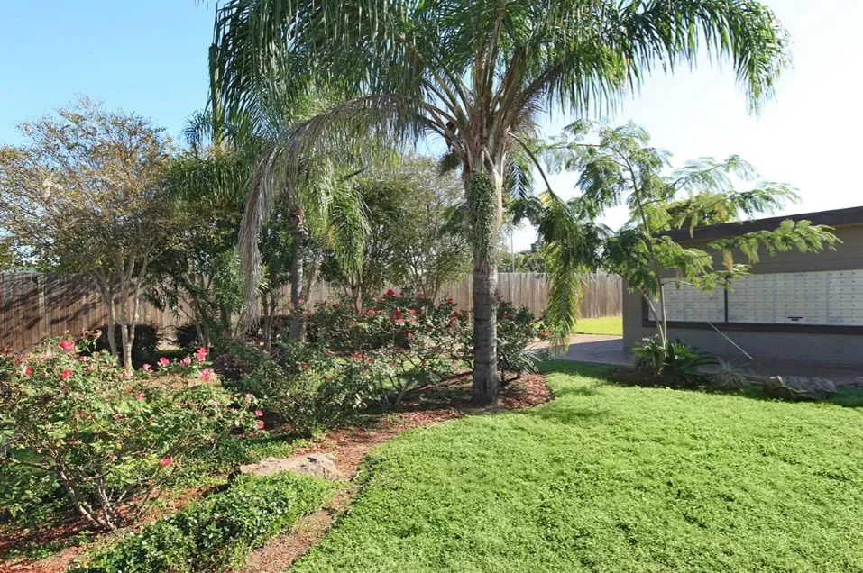 Southlawn Palms - Photo 16 of 16