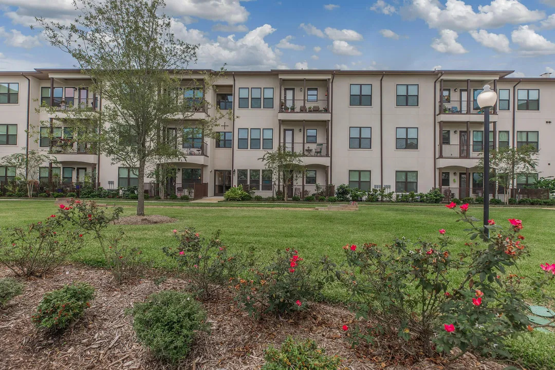 Ivy Point at Kingwood - Photo 21 of 45