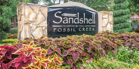 Sandshell at Fossil Creek - 25