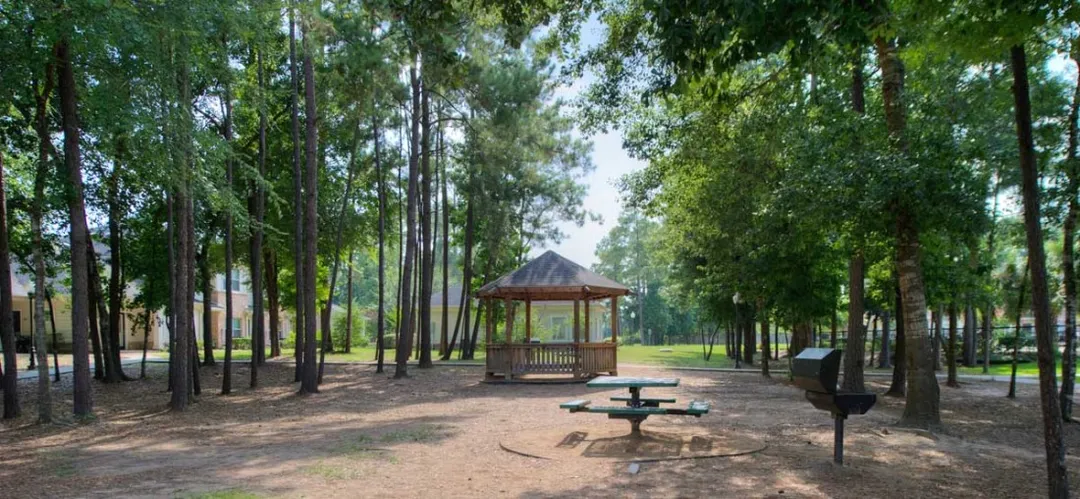 Park at Woodland Springs - 10