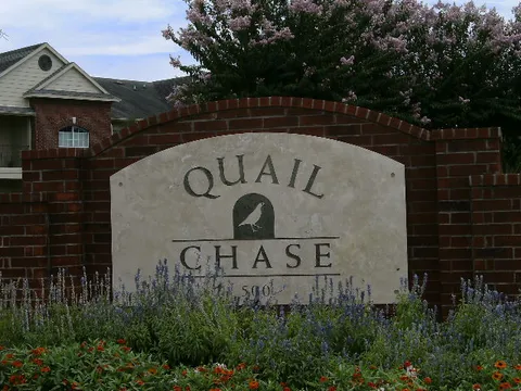 Quail Chase - 9