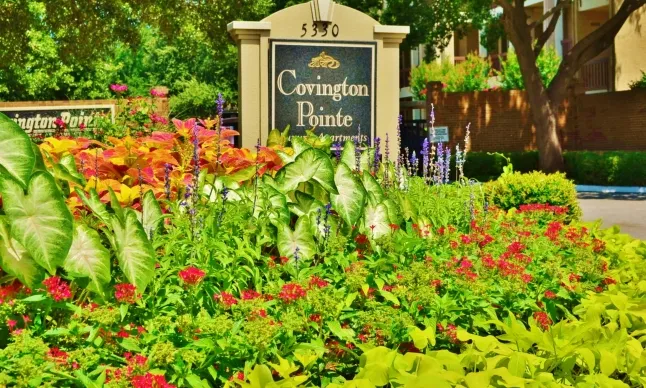 Covington Pointe - Photo 24 of 38